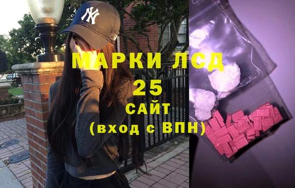дурь Каменка