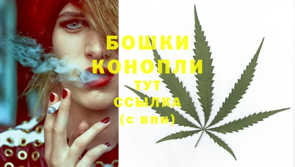 тгк Каменск-Шахтинский