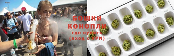 дурь Каменка