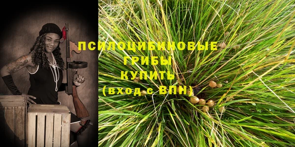 тгк Каменск-Шахтинский