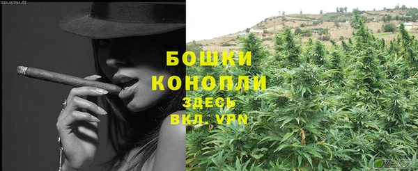ПСИЛОЦИБИНОВЫЕ ГРИБЫ Карпинск